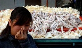 路边摊鱿鱼爆料视频播放,揭秘网红美食背后的制作过程