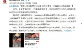 邯郸弘文爆料事件视频,揭秘背后真相与争议